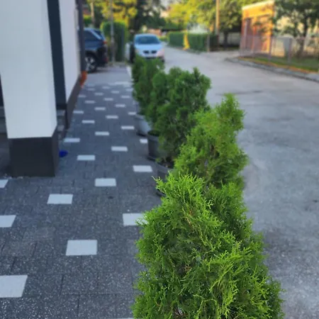 Daire Dobrinja - Free Parking- Rent A Car Saraybosna