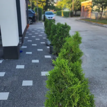 Apartman Dobrinja - Free Parking- Rent A Car Szarajevó